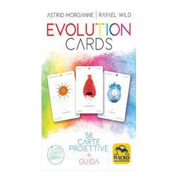 evolution-cards-con-56-carte