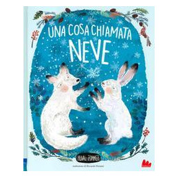 cosa-chiamata-neve-una