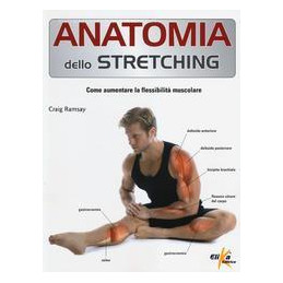 anatomia-dello-stretching