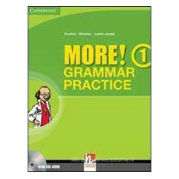 more-grammar-practice-1-cdrom