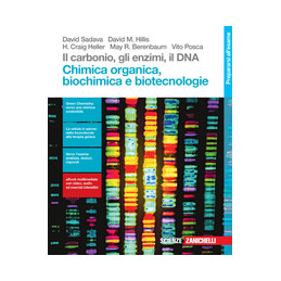 carbonio-gli-enzimi-il-dna-il-chimica-organicabiochimica-e-biotecnologie