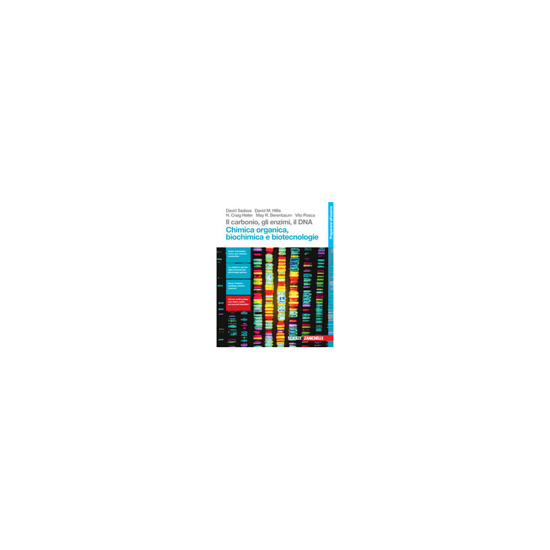 carbonio-gli-enzimi-il-dna-il-chimica-organicabiochimica-e-biotecnologie carbonio-gli-enzimi-il-dna-il-chimica-organicabiochimica-e-biotecnologie