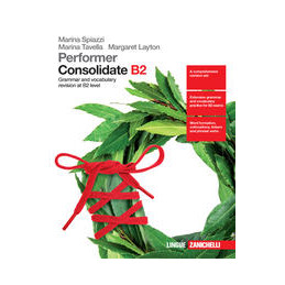 performer-consolidate-b2-lm