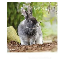 calendario-da-muro-30x30-cm-rabbits-2021