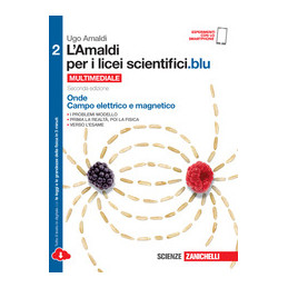 amaldi-per-i-licei-scientificiblu-2ed-vol-2----ldm