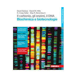 il-carbonio-gli-enzimi-il-dna-biochimica-e-biotecnologie------ldm