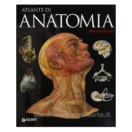 atlante-di-anatomia