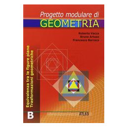 progetto-modulare-di-geometria-b