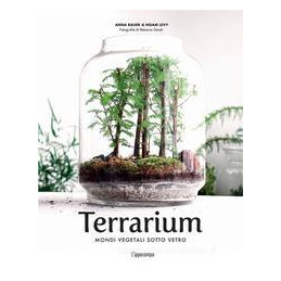 terrarium-mondi-vegetali-sotto-vetro